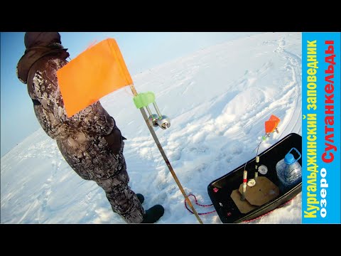 Видео: Кургальджинский заповедник, озеро Султанкельды. Мороз рыбалке не помеха