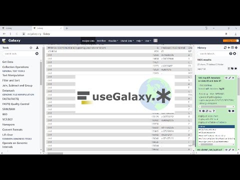 Видео: Обработка результатов секвенирования для новичков. 1. Выравнивание данных в Galaxy: от FASTQ к VCF.
