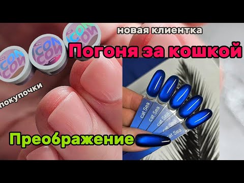 Видео: Супер кошка/ Новая клиентка/ Много покупок/Было Стало/ Приглашаю в ТГ🫶