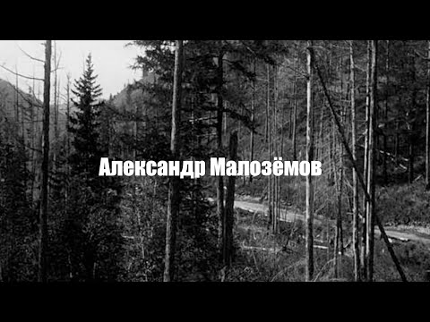 Видео: Малозёмов