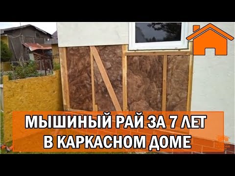 Видео: Kd.i: Мышиный рай за 7лет в каркасном доме. Слабонервным не смотреть.