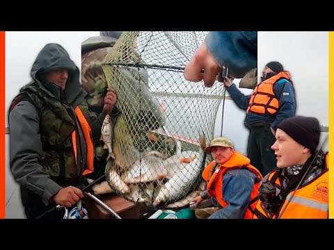 Видео: У ПЛОТВЫ НАЧАЛСЯ ЖОР | РЫБАЛКА НА РЕКЕ ШЕКСНА