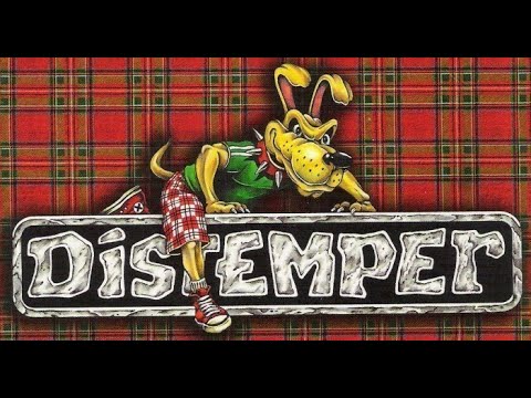 Видео: DISTEMPER  //  XXXIV года: Концерт в Джаггере. PART II