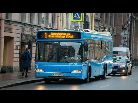 Видео: 🇷🇺Автобусы Санкт-Петербурга