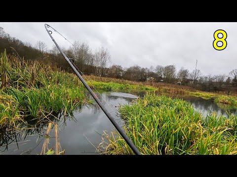 Видео: БЕШЕНЫЙ КЛЁВ ЩУКИ В ДИКОМ БОЛОТЕ !!! ➔ ч.8 Вот это рыбалка !