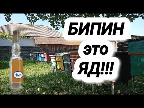 Видео: Весь мир против него!