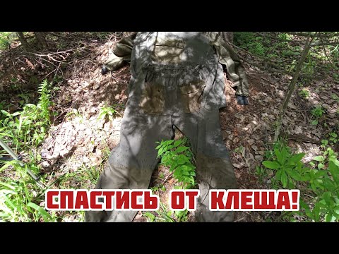 Видео: Спастись от клещей в тайге, поможет единственное средство !!