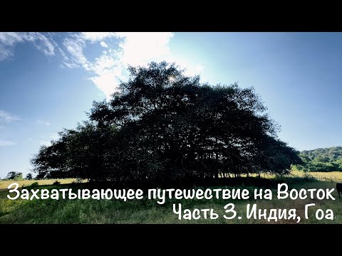 Видео: Захватывающее путешествие на Восток. Часть 3. Индия, Гоа. Эпизод 2, Арамболь