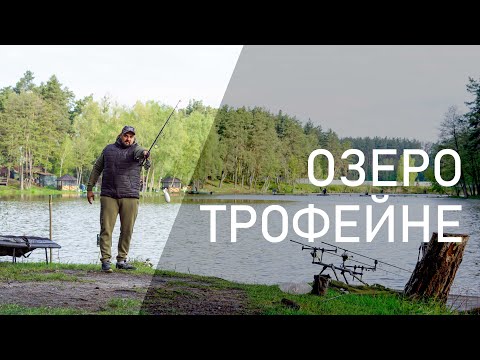 Видео: ОЗЕРО ТРОФЕЙНЕ / Короп клює в закид!