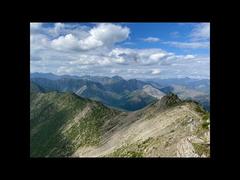 Видео: Встреча с Куланом в полнолуние