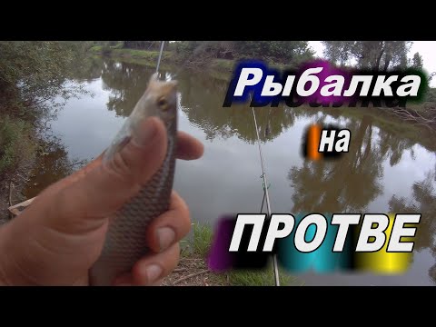 Видео: Рыбалка на реке Протва#18.Ночные лещи в Протве.Плотва на кукурузу.Ночёвка на берегу в августе.2020г
