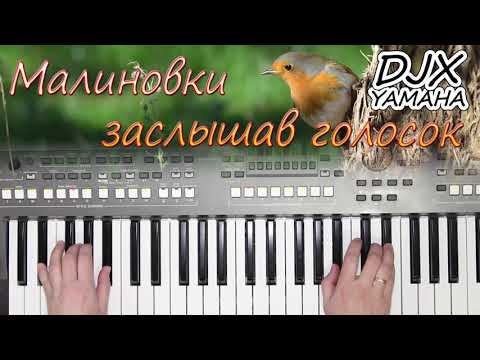 Видео: МАЛИНОВКИ ЗАСЛЫШАВ ГОЛОСОК ВЕРАСЫ КАВЕР  НА СИНТЕЗАТОРЕ ОТ YAMAHA DJX