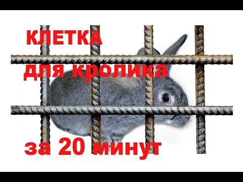 Видео: Простая и дешевая клетка для кролика за 20 минут