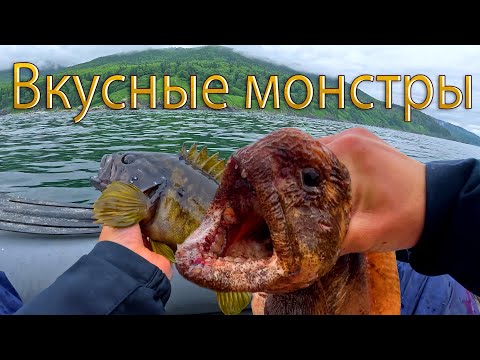 Видео: Мечта любого рыбака | Клюет как  из аквариума | Сахалин