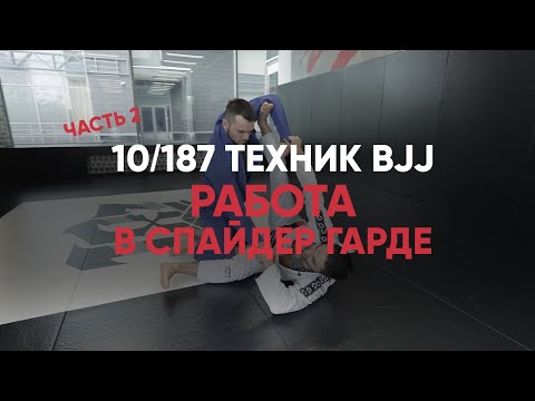 Видео: Джиу джитсу. Работа в спайдер гарде