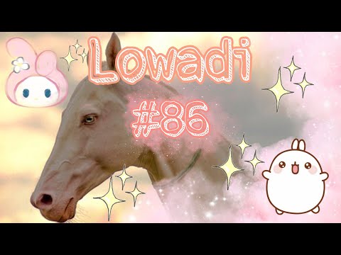 Видео: Ловади #86 ~ Возвращение к мустангам | Прокачка жеребца