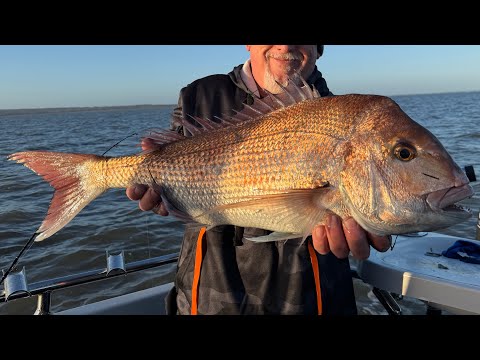 Видео: WESTERNPORT SNAPPER — В ЭТОМ СЕЗОНЕ ТЯЖЕЛАЯ ЛОВЛЯ!