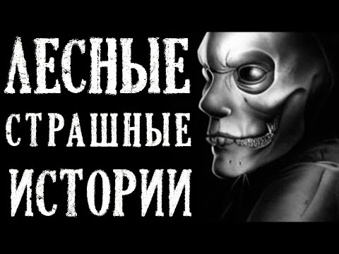 Видео: Лесные Страшные Истории на Ночь (5в1)
