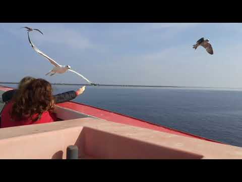 Видео: Греция. Паром Керамоти-Тасос. Видео обзор 4extreme.com.ua