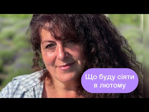 Видео: Кермек, геліптерум для яскравих букетів 💐