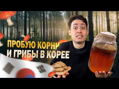 Видео: ЧТО ПЬЮТ КОРЕЙЦЫ?