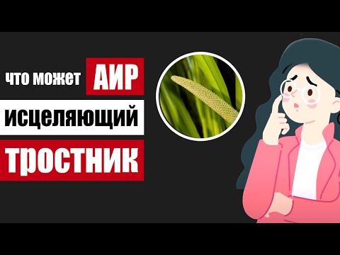 Видео: Корень аира: исцеляющий все внутренние органы