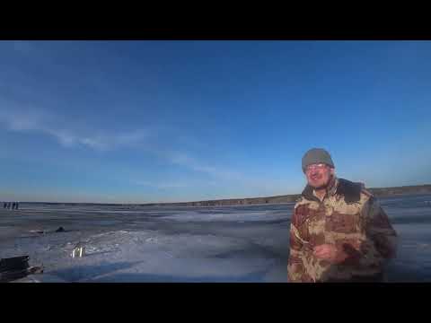 Видео: Белоярка и её капризы
