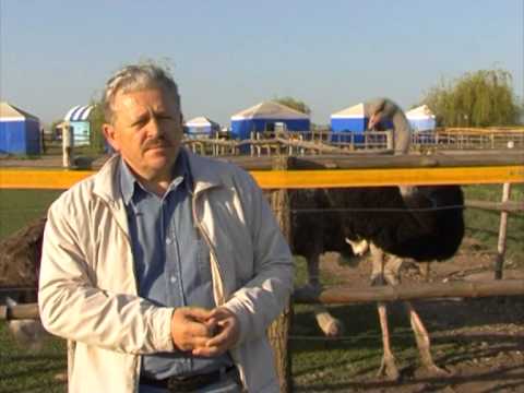Видео: Агро-Союз Страусоводство