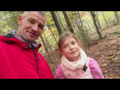 Видео: За грибами в Германии 