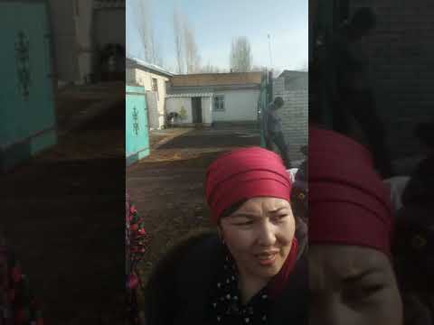 Видео: Кашат айылы Тушоо кесуу тою