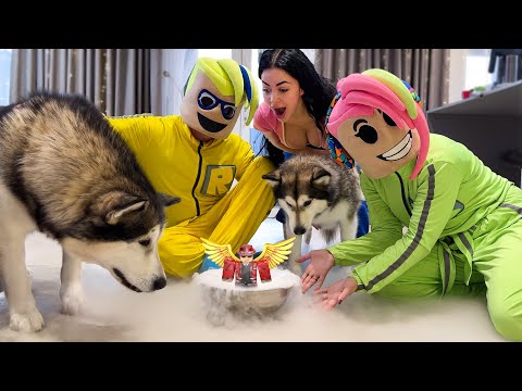 Видео: РОБЛОКС В РЕАЛЬНОЙ ЖИЗНИ / ПОБЕГ ОТ СОБАКИ НАПАЛА НА ROBLOX ‼️