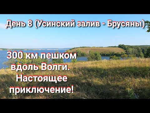 Видео: Ч.8. Усинский залив - Брусяны, Самарская Лука. Пеший поход с ночёвкой по Жигулёвской Кругосветке.