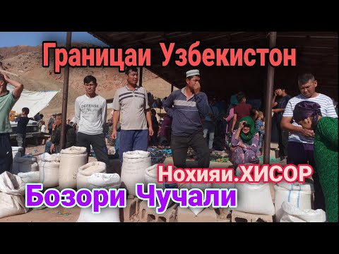 Видео: Ш.Хисор Бозори Чучали  да Границаи Узбекистон Гов гусфанди Хисори Гиссарского буз ангур  либосхо