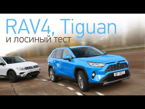 Видео: Новая Toyota RAV4 и Volkswagen Tiguan, тест на полигоне