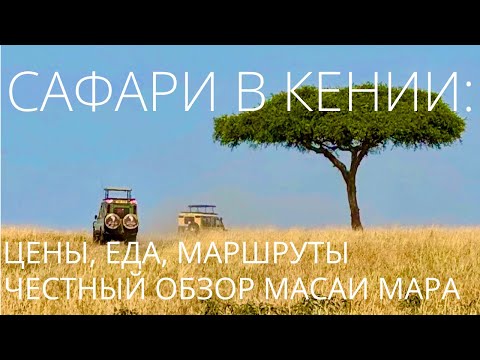 Видео: Сафари в Кении 2025: цены, еда, маршруты и честный обзор Масаи Мара