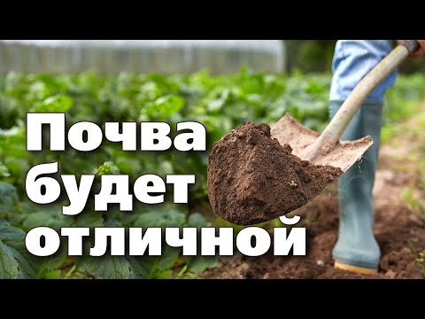 Видео: КАК УЛУЧШИТЬ ПОЧВУ В ОГОРОДЕ. РАЗРЫХЛИТЕЛИ