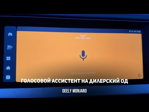 Видео: Устанавливаем бесплатный голосовой ассистент на дилерский ОД Джили Монжаро / Geely Monjaro