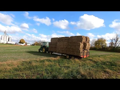 Видео: Уборка зерна, кукурузы и кормов