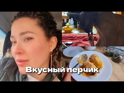 Видео: 2 ноября 2024 г. Забрали все вещи🧳/Бесплатный маникюр💅/Голубцы и перец🌶 #сфинкс #перецфаршированный