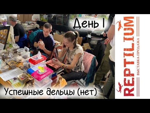 Видео: Рептилиум в СПб 13 апреля 2024