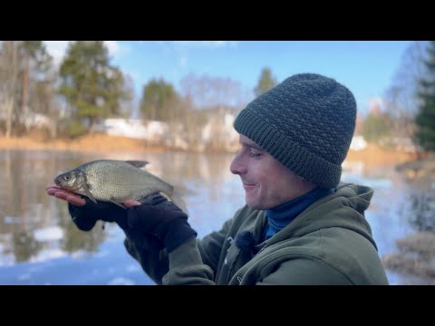 Видео: Открытие фидерного сезона 2024. Рыбалка в Санкт-Петербурге.