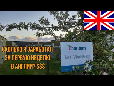 Видео: ПЕРВАЯ ЗАРПЛАТА И ВПЕЧАТЛЕНИЯ О РАБОТЕ.