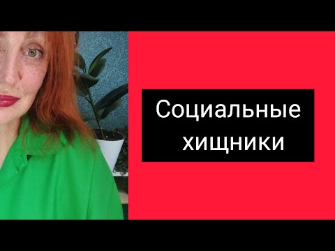 Видео: Социальные хищники. #нарциссизм #психопат