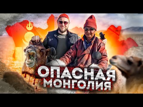 Видео: ОПАСНАЯ МОНГОЛИЯ или сибиряк  как дома