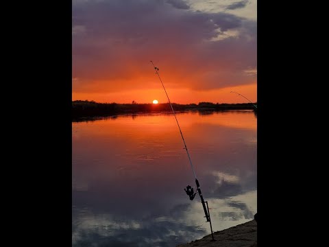 Видео: рыбалка с Дэном на Или