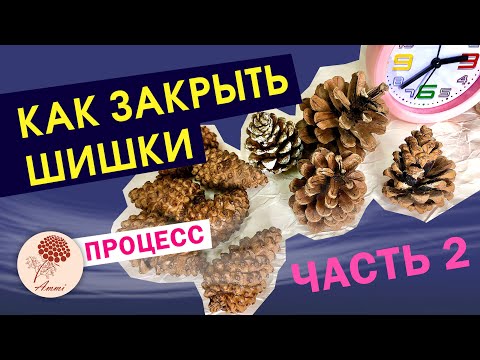 Видео: Как закрыть шишки. Часть 2. Полный пошаговый процесс