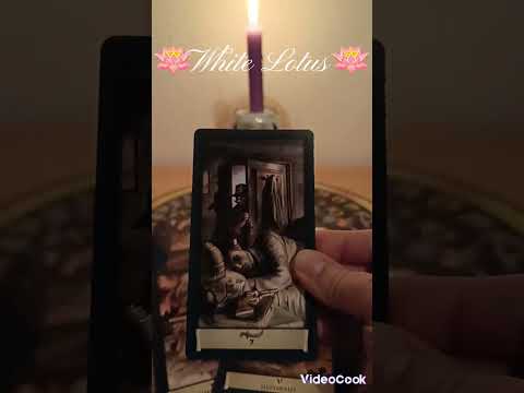Видео: ☠️ Женщина с того света вышла с вами на связь ☠️ #ютуб #tarotcards #черныйобсидиан #leituradetarô