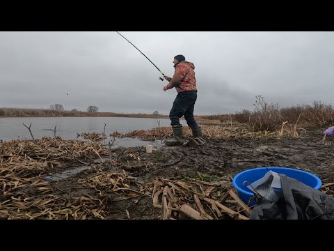 Видео: РЫБАЛКА НА ПОПЛАВОЧНУЮ УДОЧКУ В НОЯБРЕ