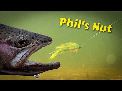 Видео: Phil's Nut — компактный стример для привередливой рыбы