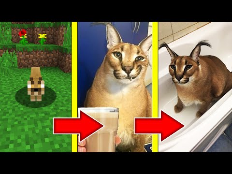 Видео: КАК МЕНЯЛСЯ ШЛЁПА И ЕГО ЖИЗНЕННЫЙ ЦИКЛ В МАЙНКРАФТ ЭВОЛЮЦИЯ BIG FLOPPA MINECRAFT SCP